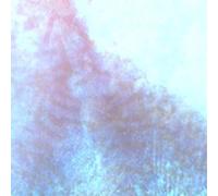 Scuba Death - The Worm At The Core [Vinilo]