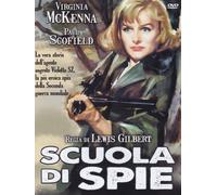 Scuola di spie [Italia] [DVD]