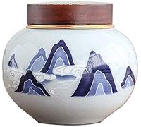 SCWZZWSY Cremation Urna Mini Urnas para Cenizas humanas, urnas funerales, cerámica a Prueba de Humedad Hecha a Mano (Blanca)