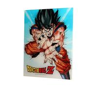 SD Toys Bola de dragón - Impresión en Verre - Goku Kame - 30 x 40 cm
