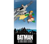 SD TOYS Caza Tie vs ala X Batman Y Robin Poster De Vidrio The Dark Knight Returns DC 30x60 Cm, Multicolor, 3x61x31 cm