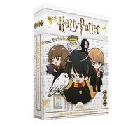 SD TOYS - Juego de mesa - Memoarr! Harry Potter
