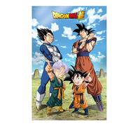 SD TOYS - Poster 3D Battle of Gods Goku Vegeta Family Dragon Ball Super - Medidas 38x58cm