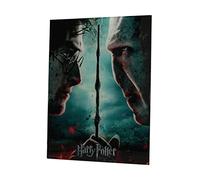 SD Toys Póster Harry Potter y Voldemort Vidrio Multicolor 41x31x3 cm