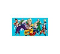 SD Toys Póster de vidrio Z Heroes Dragon Ball 60 x 30 cm Multicolor (SDTDRB22026)