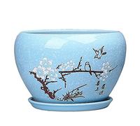 SdaryWare Maceta de cerámica con Bandeja, diseño Floral Azul Cielo, para suculentas, Maceta Decorativa para jardín, Plantas de Interior y Exterior, bonsái, decoración del hogar con Orificio,24.5cm