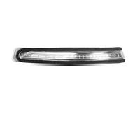 SDBWUYBYG Luz ámbar espejo retrovisor Compatible con Hyundai i20 2014-2020 | LED Side Light Amber 12V Rearview Indicator Compatible con Hyundai 87624-C8000(Left)