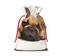 SDEGTHO Animal Dog Bulldog francés 1 bolsa de material duradero de 4.7 x 6.9 pulgadas con cordón para regalo elegante de Halloween