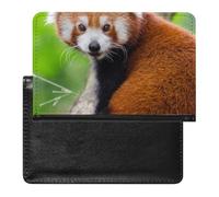 SDEGTHO Curious - Funda protectora para documentos de viaje, diseño de mapache rojo óxido, funda para pasaporte para viajes internacionales y vacaciones