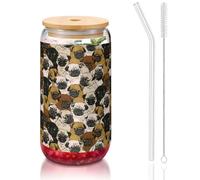 SDEGTHO Imagen De Pug - Vasos con pajita de vidrio para cerveza, café helado, whisky, regalo de 473 ml