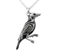 SDFXCDR Collar para hombre, estilo gótico, retro, con colgante de calavera de cuervo vikingo, moderno, hip hop, rock, fiesta, motociclista, accesorios