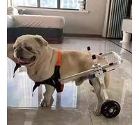 SDGBCXD Carrito para Perros, Soporte for Patas traseras de Perro, Ayuda for la recuperación extremidades, rehabilitación y Movilidad Mascotas, for Razas pequeñas, Medianas Grandes(Red,S)