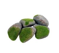 Sdlnklm 5 Piezas de Rocas Artificiales para Paisajes, Rocas Decorativas para Macetas Y Decoración DIY, F, Individual