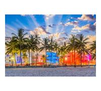 SDOTPMT 1,5x1m Holiday Telón de Fondo Cielo Azul Nubes Blancas Palmera Camino de Grava Ciudad Fondo Fotográfico para Fiesta Foto Novia Boda Shower Banner Suministros