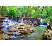 SDOTPMT 10x7ft Cascada Forestal Fondo de poliéster Selva Tropical Fondo de fotografía Rural Fiesta de cumpleaños Infantil Fondo de Selva Real decoración de Accesorios de Estudio fotográfico