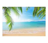 SDOTPMT 2,2x1,5m Verano Tropical Beach Backdrop Palm Leaves Ocean Island Seaside Escena de Fondo para Mar Viaje Vacaciones Niño Pareja Adulto Retrato Foto Estudio Atrezzo Papel Pintado