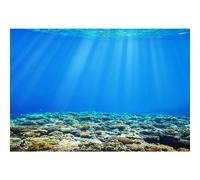 SDOTPMT 5x3ft Bolsa de poliéster Mundo Submarino Fondo Marino Sunshine Plantas acuáticas Aguas Profundas Fondo Coral decoración Fiesta cumpleaños Marina Accesorios Estudio de Fotos
