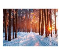 SDOTPMT 7x5ft Escenas románticas Invierno Correas poliéster Fondo Nieve Amanecer los árboles Vacaciones Invierno Fiesta cumpleaños Infantil Navidad decoración Fondo Nuevo Accesorios fotográficos