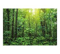 SDOTPMT 7x5ft Hermoso Paisaje Natural Tirantes de poliéster Sunshine Evergreen Forest Jungle Spring Rainforest Camp Tema Pancarta Estudio de fotografía Fondo de Accesorios