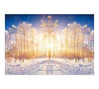 SDOTPMT 7x5ft Tirantes de poliéster Vistas a Nieve Invierno Bosque abetos Nieve Invierno Sol Fondo Paisaje Invierno Fotografía Navidad Familiar Fiesta Nuevo decoración Fondo Accesorios fotográficos