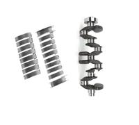 sDtESNB Juego de cojinetes Principales del cigüeñal con Varilla del cigüeñal 11217640165 Compatible con Motor 320i 428i X3 Z4 F20 F30 F32 E84 E89 F25 N20 2.0L