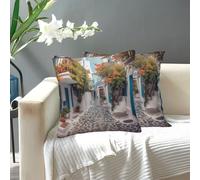 SDTYKHJ Funda de almohada moderna de doble cara, fundas de almohada suaves para sofá, funda de cojín cuadrada, funda de cojín decorativa, funda de almohada de calle Grecia, funda de almohada para sofá