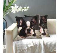 SDTYKHJ Funda de cojín moderna de doble cara, fundas de almohada suaves para sofá, funda de cojín cuadrada, funda de cojín decorativa, bonita funda de cojín de Boston Terrier para sofá, cama