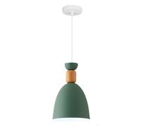 SDyudDS Lámparas de araña, Nordic Small Pendant Lights E27 Single Head Ceiling Lighting Restaurant Dining Room Bedroom Kitchen Bar(Green)