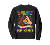 Sé Amable, Orgullo y Arco Iris, LGBT, Conciencia sobre la Igualdad Sudadera