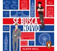 Se Busca Novio (audiolibro)