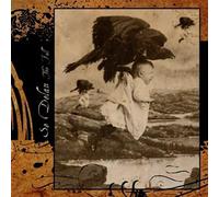 Se Delan - The Fall