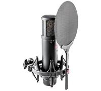 SE ELECTRONICS sE2200