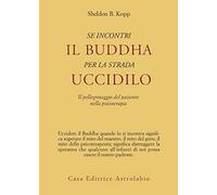 Se incontri il Buddha per la strada uccidilo. Il pellegrinaggio del paziente nella psicoterapia (Psiche e coscienza)