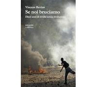 Se noi bruciamo. Dieci anni di rivolte senza rivoluzione (La biblioteca)
