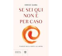 Se sei qui non è per caso. Viaggio dalla mente all'anima (Overlook)