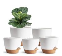 SE SUN-E Paquete de 5 macetas de riego automático para personas perezosas, 7/6.5/6/5.5/5 pulgadas, maceta de plástico blanco para todas las plantas de interior, suculentas, violetas africanas, plantas