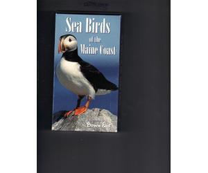 Sea Birds of the Maine Coast [Alemania] [VHS]