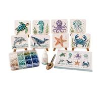Sea Glass Art Kits For Adults Animal Handmade Smooth Painting Decor