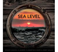 Sea Level - Chicago 1977 Ivanhoe Theater