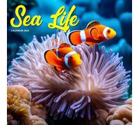 Sea Life 2026 Calendar: Colorful Oceans and Underwater Wonders
