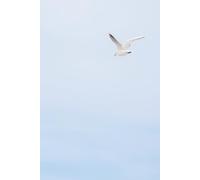 Sea of Calm - Notebook: A minimalist journal inspired by the sea, silence, and open skies