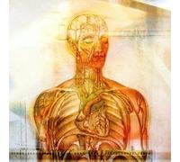 Sea of Wires - Leaving the Electric Circus