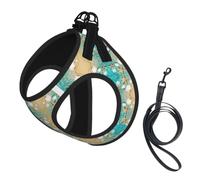 Sea Shell - Chaleco con correa para mascotas con diseño de estrella de mar para perros pequeños, gatos, reflectante, ajustable, suave, para caminar al aire libre, senderismo, entrenamiento