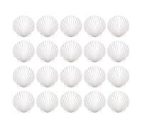 Sea Shells for Crafting, Natural Shells for Home Decor Projects | Beach Wedding Decor Shells for Hobbyists Adults Artists Bakers Painters Home Apartment Living Room Bedroom Fish Tank