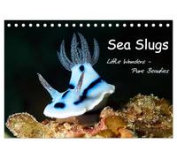 Sea Slugs - Little Wonders - Pure Beauties (Desk Calendar 2026 DIN A5 landscape), CALVENDO 12 Month DeskCalendar: Little Wonders - Pure Beauties Undersea
