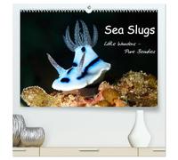 Sea Slugs - Little Wonders - Pure Beauties (High Quality Premium Wall Calendar 2026 DIN A2 landscape),CALVENDO 12 Month Wall Calendar: Little Wonders - Pure Beauties Undersea