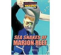 Sea Snakes Of Marion Reef [DVD] [Reino Unido]