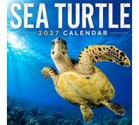 Sea Turtle Calendar 2027: Ocean Wildlife Photography
