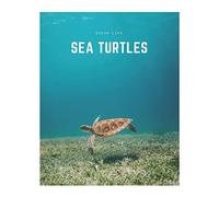 Sea Turtles: A Decorative Book │ Perfect for Stacking on Coffee Tables & Bookshelves │ Customized Interior Design & Home Decor: A Decorative Book ... Design & Home Decor (Ocean Life Book Series)