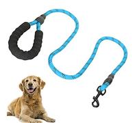 Seacanl Correa de Nailon para Mascotas, Correa Duradera para Perros Correa Resistente para Mascotas de Color Hermoso Correa para Mascotas para IR a Caminar(Blue)